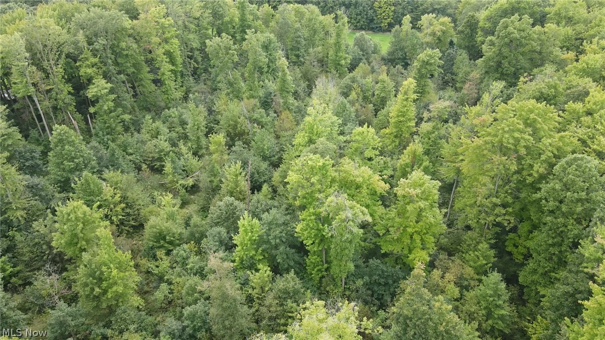 Lewis Road Pierpont OH 44082