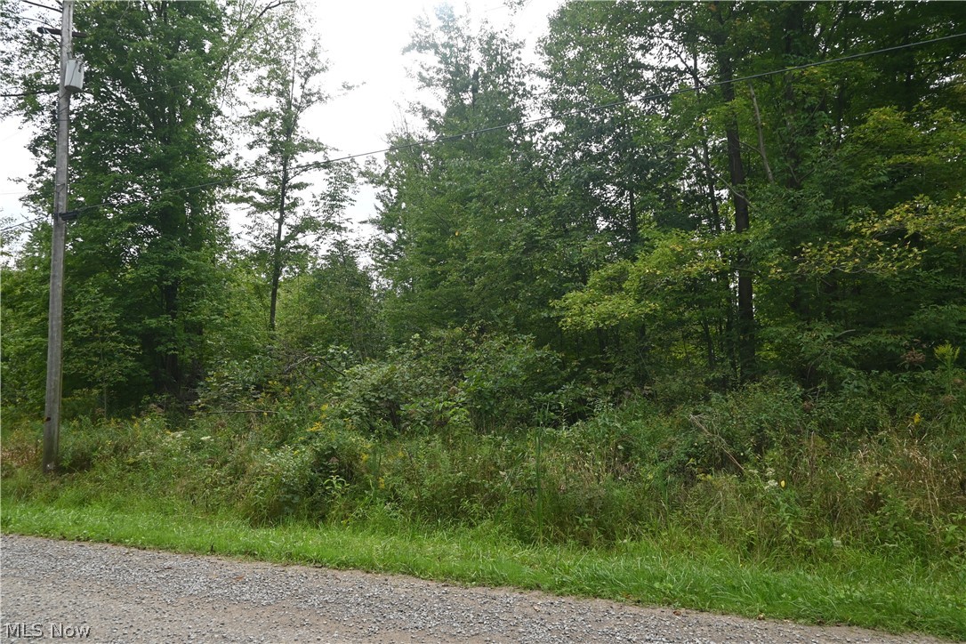 Lewis Road Pierpont OH 44082