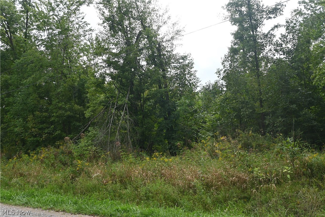 Lewis Road Pierpont OH 44082