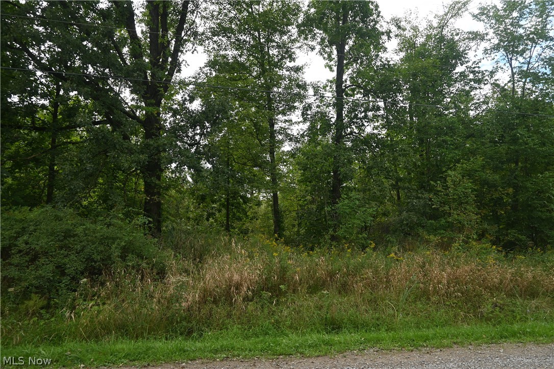 Lewis Road Pierpont OH 44082