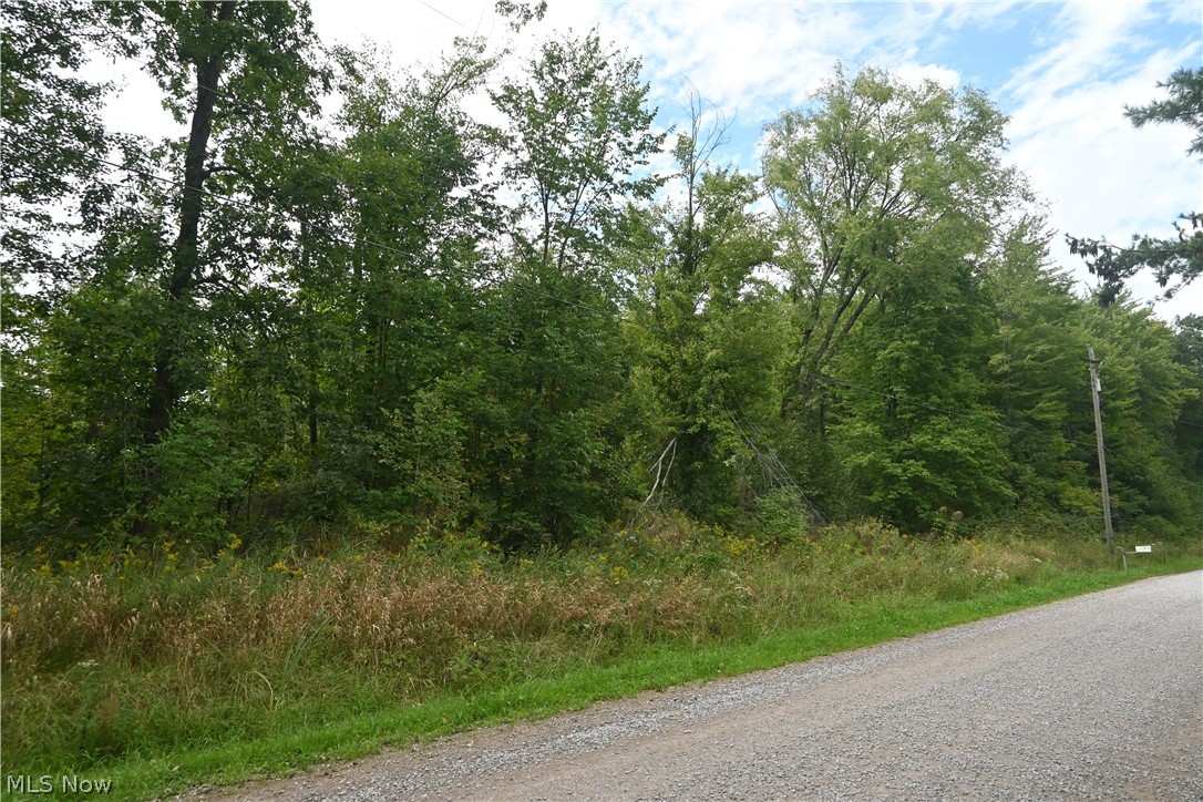 Lewis Road Pierpont OH 44082