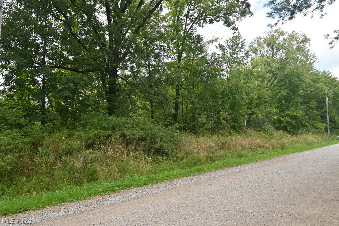 Lewis Road Pierpont OH 44082