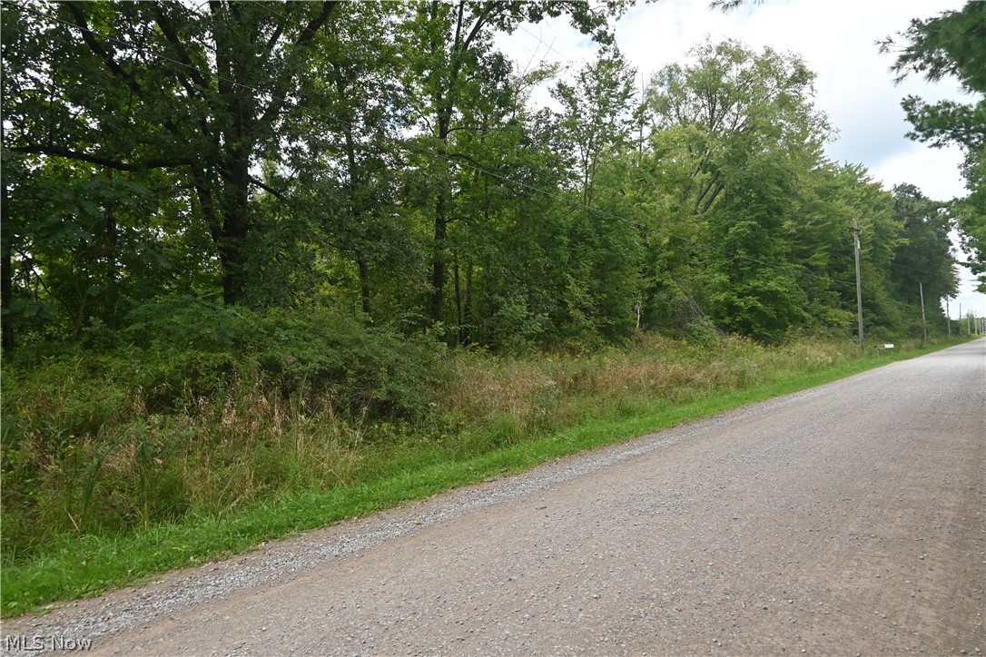 Lewis Road Pierpont OH 44082