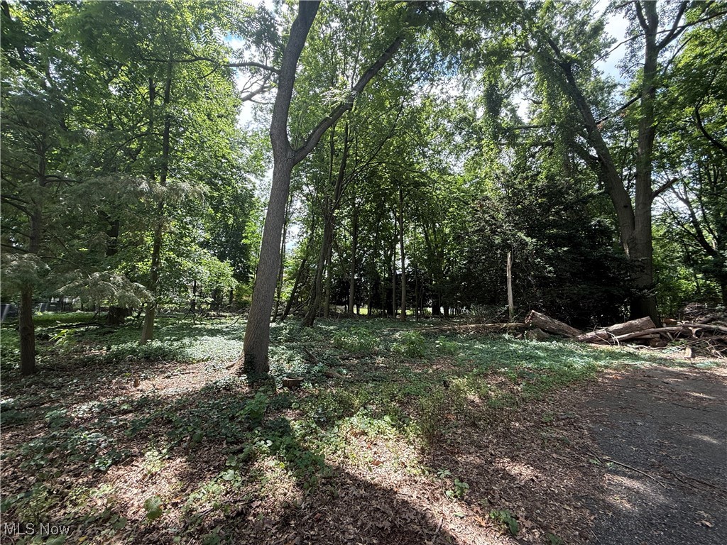 11928 Lake Shore Boulevard Bratenahl OH 44108