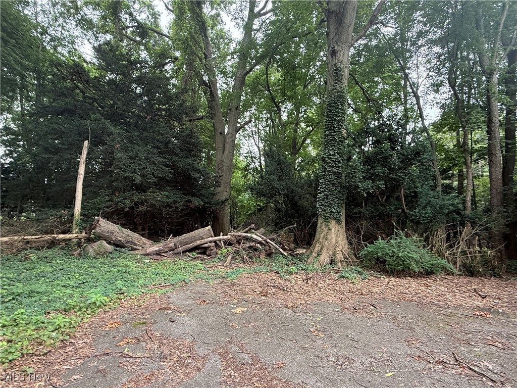 11928 Lake Shore Boulevard Bratenahl OH 44108