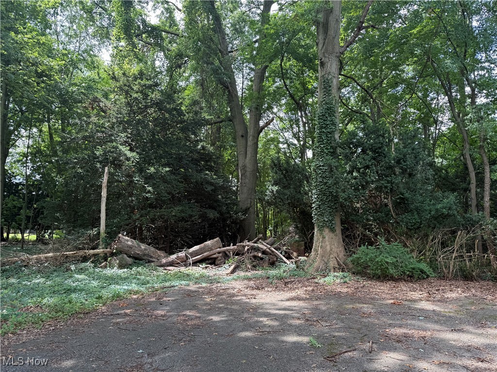 11928 Lake Shore Boulevard Bratenahl OH 44108