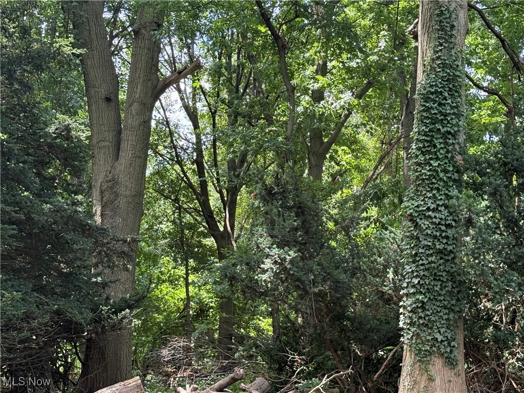 11928 Lake Shore Boulevard Bratenahl OH 44108