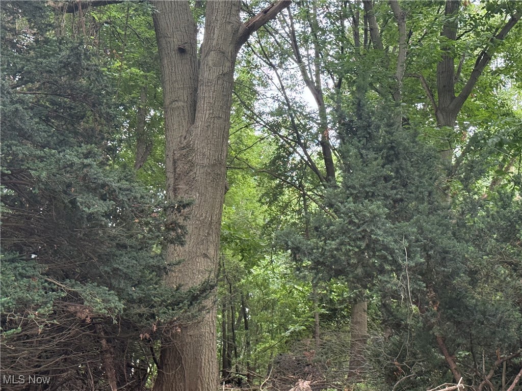 11928 Lake Shore Boulevard Bratenahl OH 44108