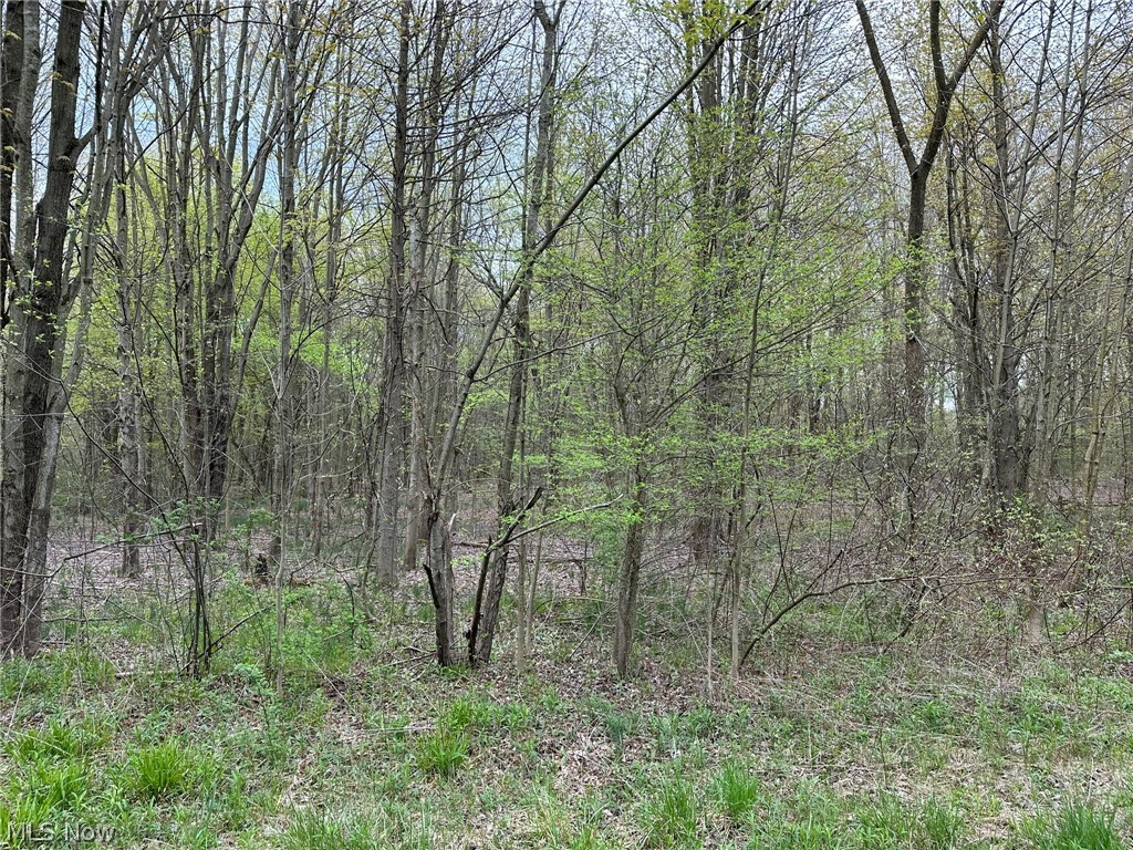 Vl Stanhope-kelloggsville Road Kingsville OH 44048