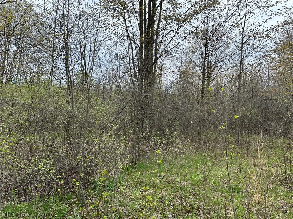Vl Stanhope-kelloggsville Road Kingsville OH 44048