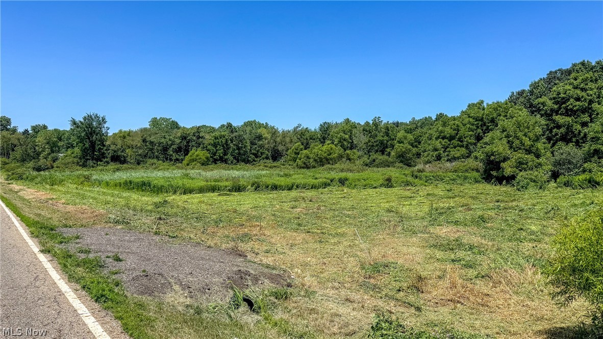 0 Pontius Road Mogadore OH 44260