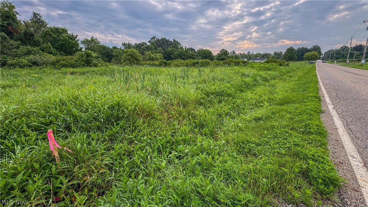 0 Pontius Road Mogadore OH 44260