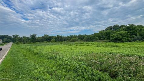 0 Pontius Road Mogadore OH 44260