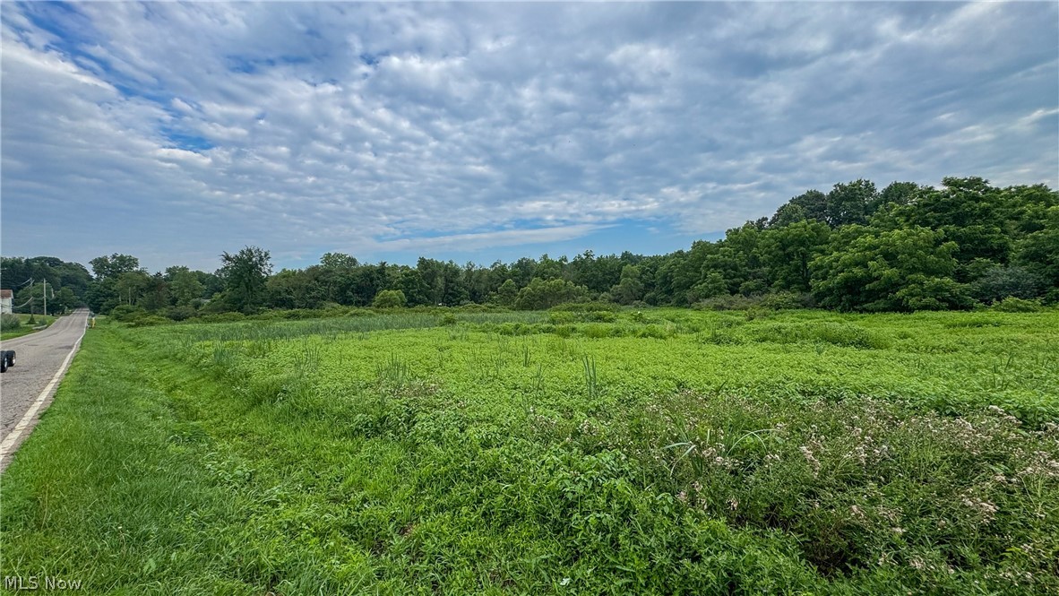 0 Pontius Road Mogadore OH 44260