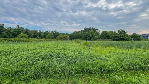 0 Pontius Road Mogadore OH 44260