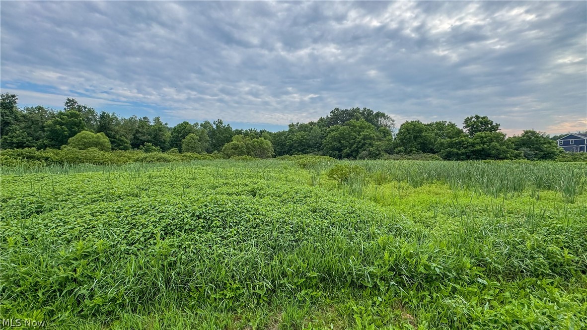 0 Pontius Road Mogadore OH 44260