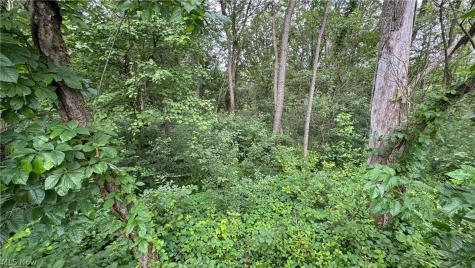 0 Pontius Road Mogadore OH 44260