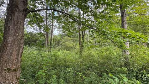 0 Pontius Road Mogadore OH 44260