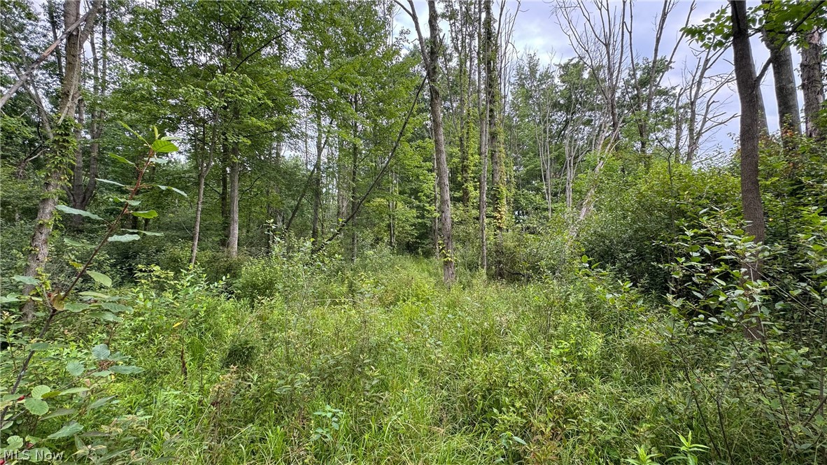 0 Pontius Road Mogadore OH 44260
