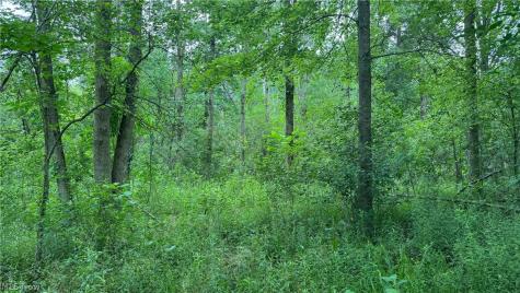 0 Pontius Road Mogadore OH 44260