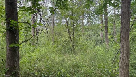 0 Pontius Road Mogadore OH 44260