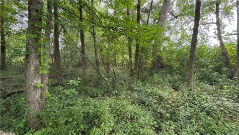 0 Pontius Road Mogadore OH 44260