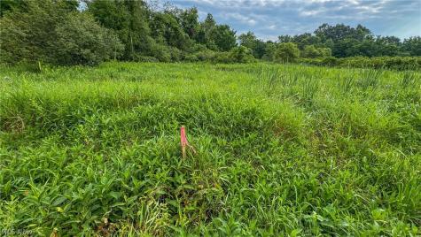 0 Pontius Road Mogadore OH 44260