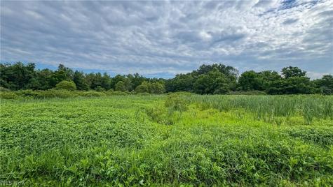 0 Pontius Road Mogadore OH 44260