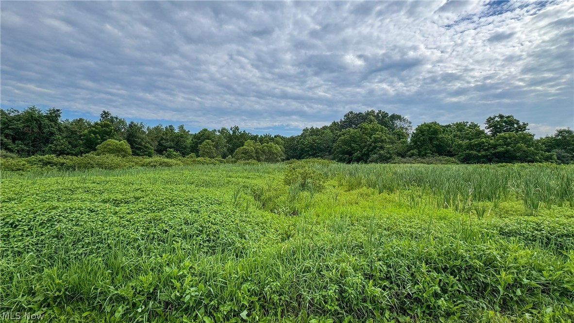 0 Pontius Road Mogadore OH 44260