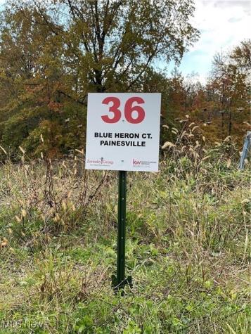 36 Blue Heron Court Painesville OH 44077