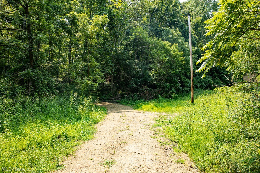 11001 Crawford Lane New Concord OH 43762