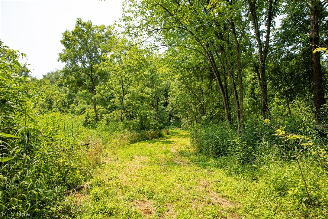 11001 Crawford Lane New Concord OH 43762
