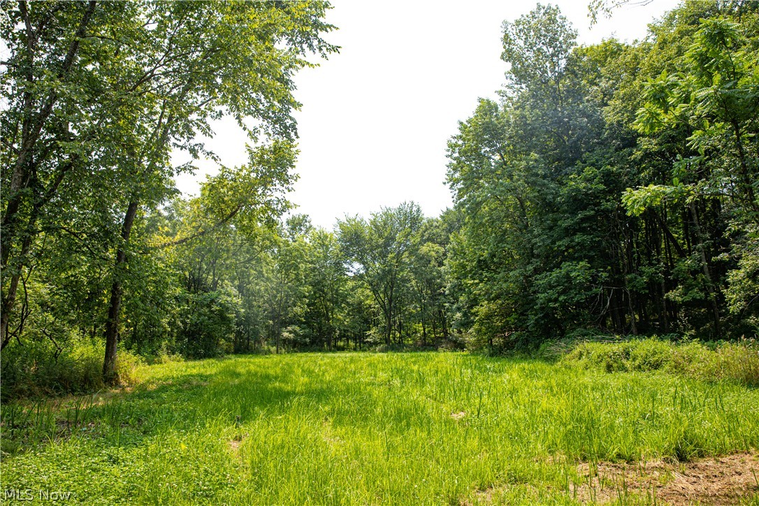 11001 Crawford Lane New Concord OH 43762