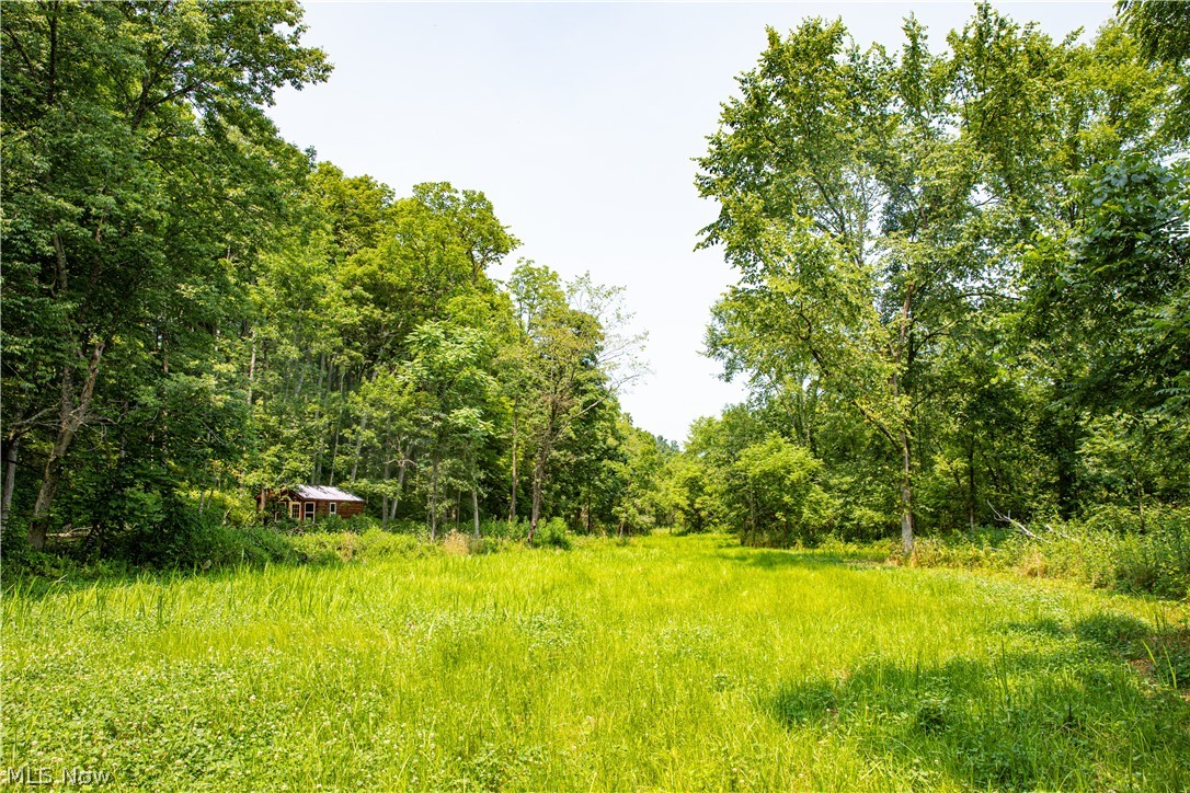 11001 Crawford Lane New Concord OH 43762