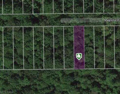 0 Magnolia #19 Drive Madison OH 44057