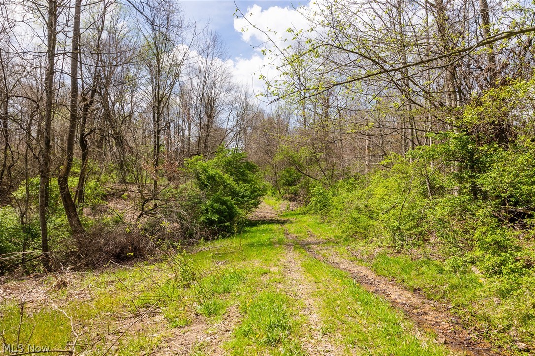 105 W Hanley Road Mansfield OH 44904