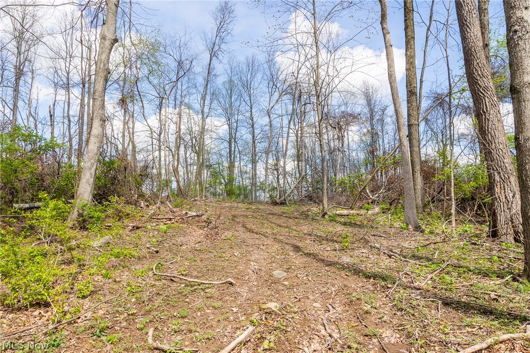 105 W Hanley Road Mansfield OH 44904