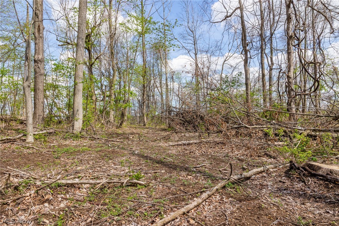 105 W Hanley Road Mansfield OH 44904