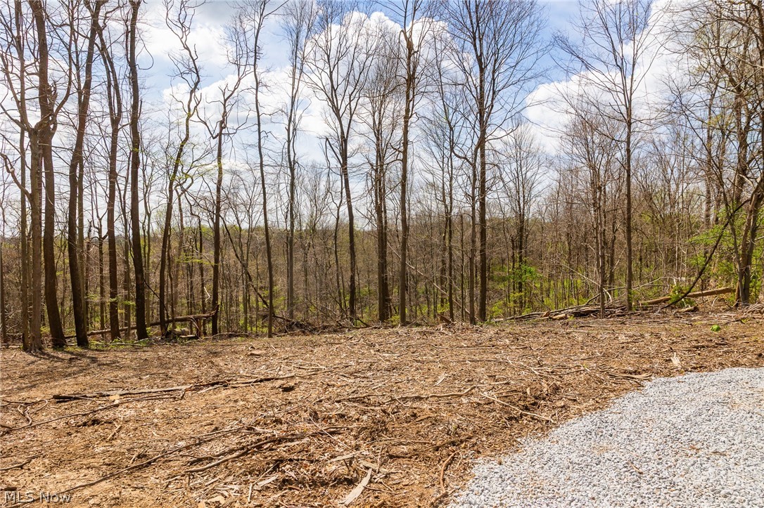 105 W Hanley Road Mansfield OH 44904