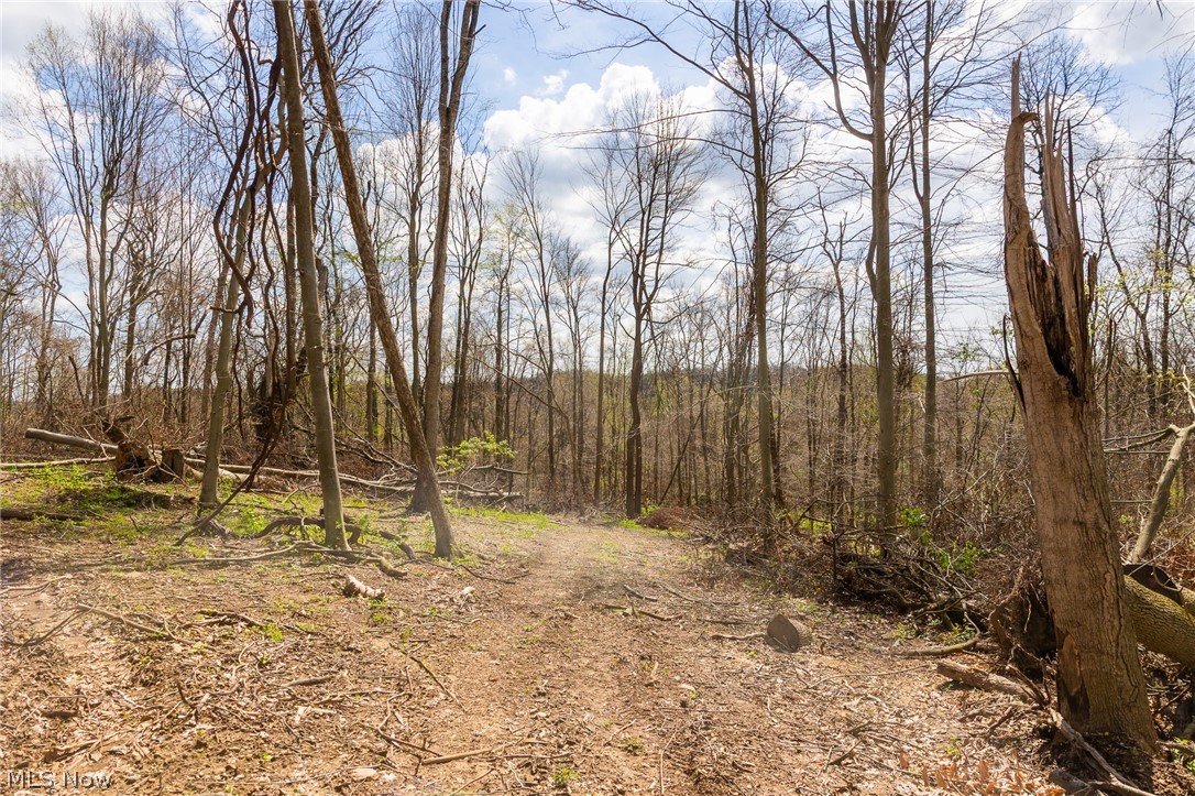 105 W Hanley Road Mansfield OH 44904