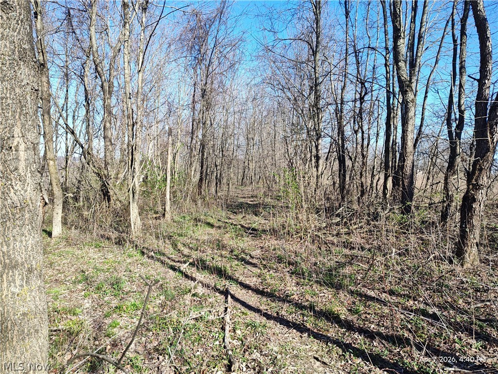1852 Laramie Road Carrollton OH 44615