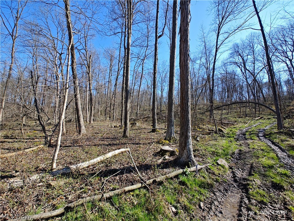 1852 Laramie Road Carrollton OH 44615