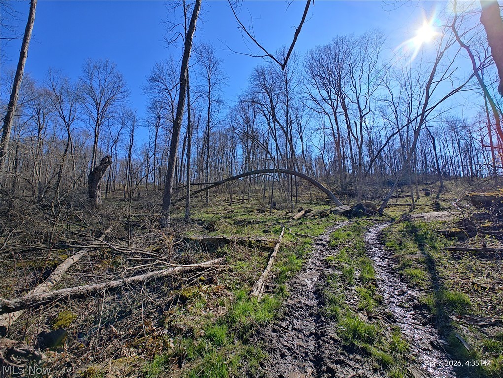 1852 Laramie Road Carrollton OH 44615