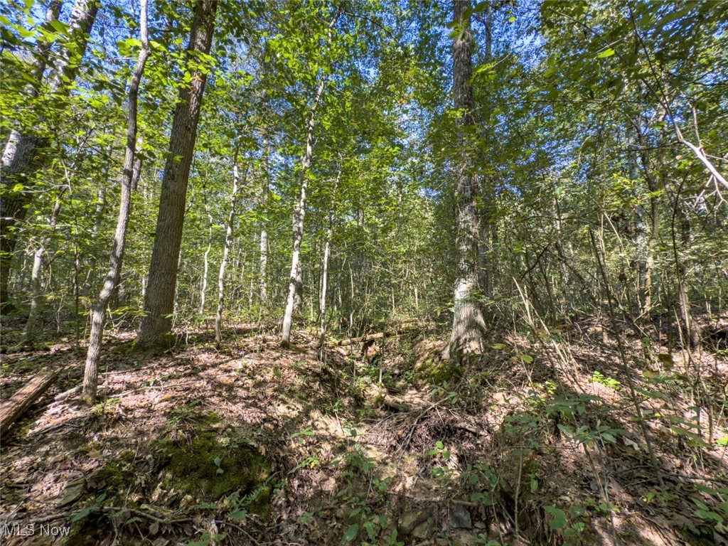 Lot 1 Shinn Road Stockport OH 45724