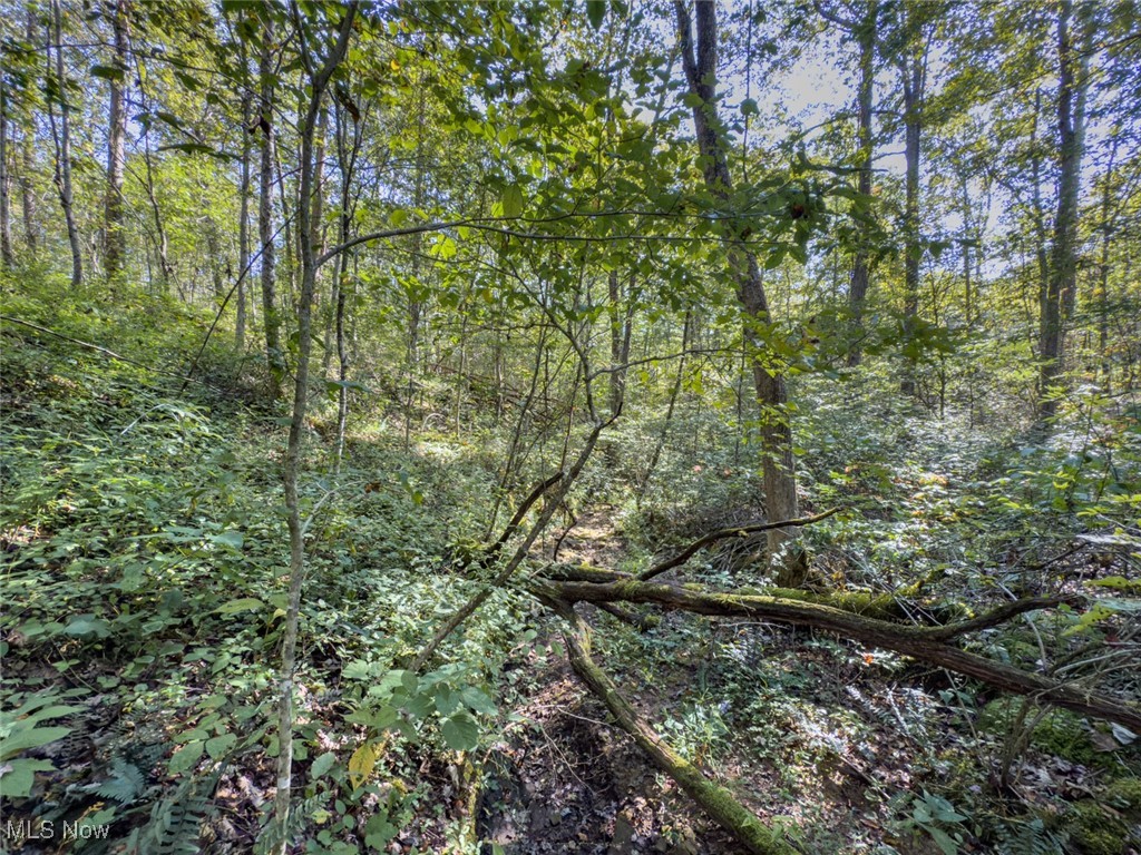 Lot 1 Shinn Road Stockport OH 45724