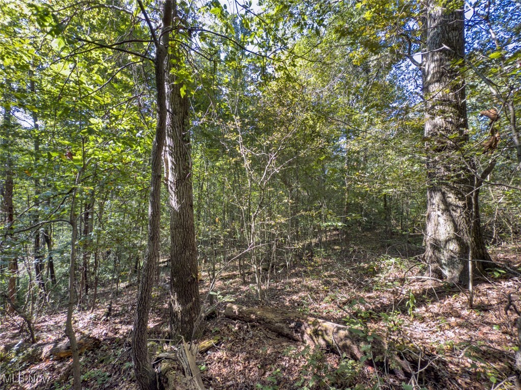 Lot 1 Shinn Road Stockport OH 45724