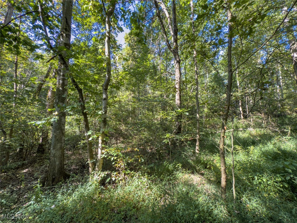 Lot 1 Shinn Road Stockport OH 45724