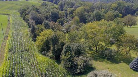 3665 County Road 58 Millersburg OH 44654