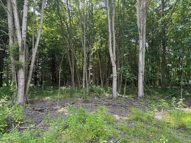 3281 Biltz Road Kent OH 44240