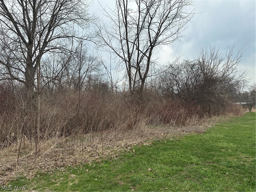 V/l Appaloosa Trail Madison OH 44057